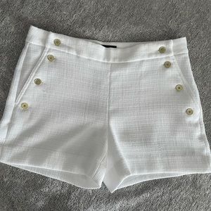 Classy Shorts